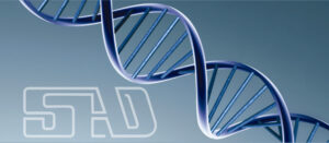 Osteoporosis y diabetes