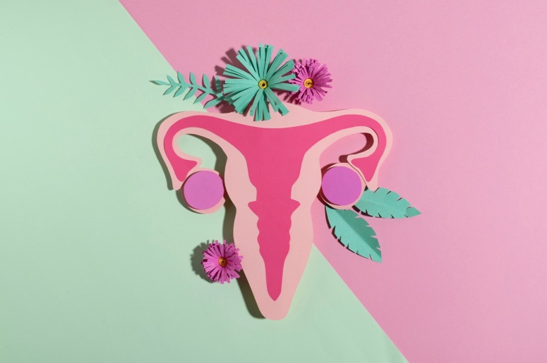 cáncer ovario 22