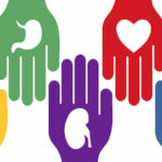 donación órganos-4