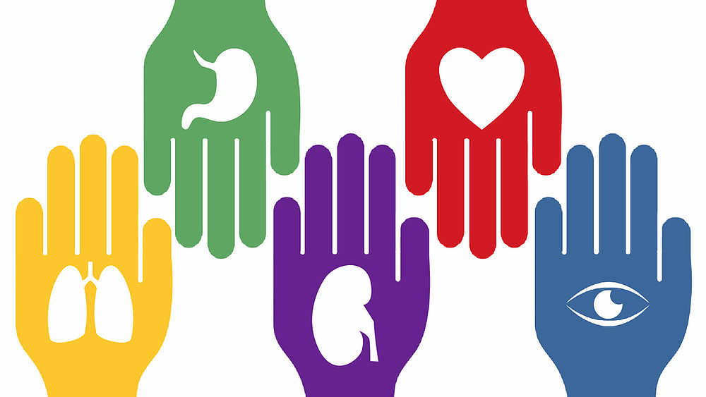 donación órganos-4