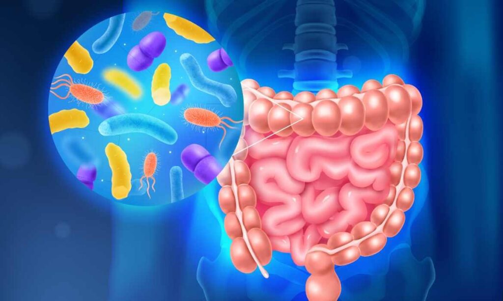 Microbiota enfermedades piel2