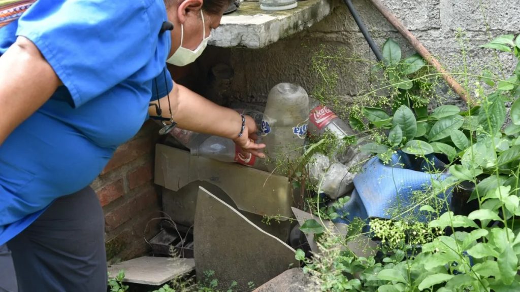 Batalla contra el dengue