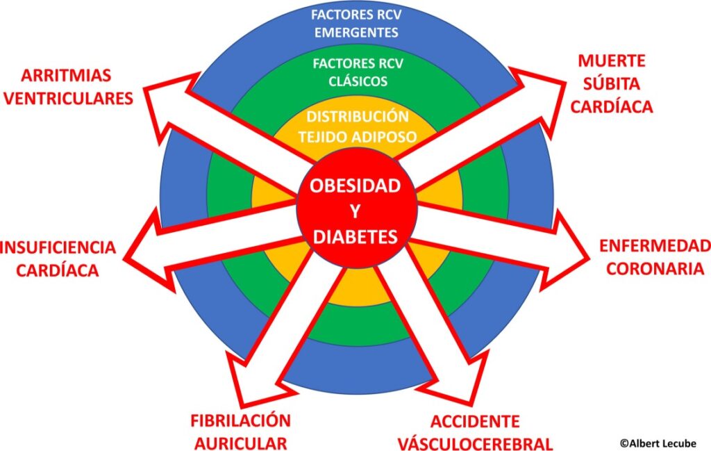 Obesidad, diabetes y enfermedad cardiovascular1