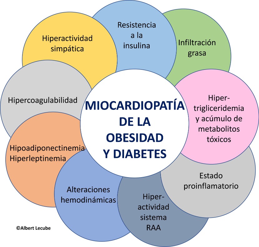 Obesidad, diabetes y enfermedad cardiovascular2