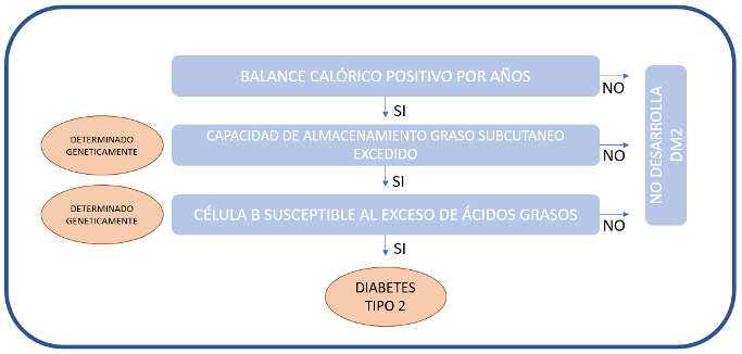 congreso europeo de diabetes 2024_11