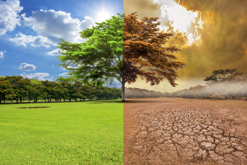 1 Cambio climático y diabetes