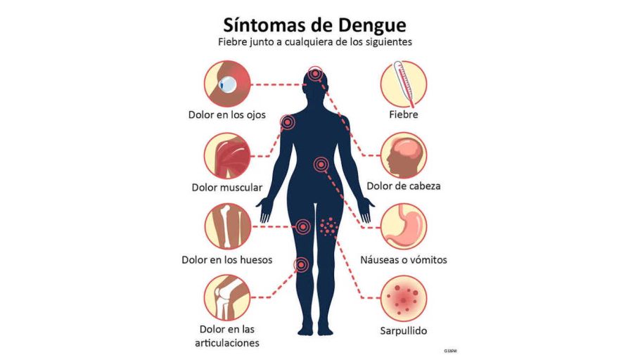 1 Infección por dengue en diabetes