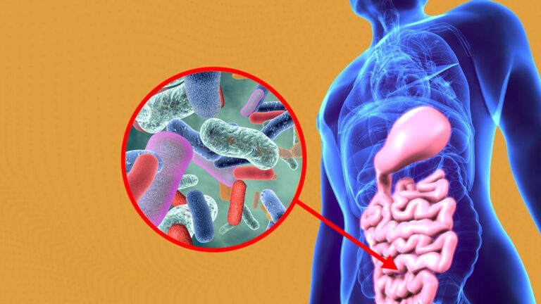 0 Microbiota intestinal diabetes