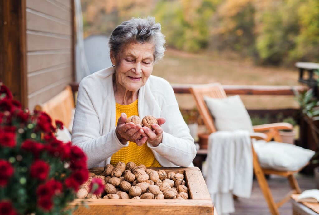 4 piel nutrición