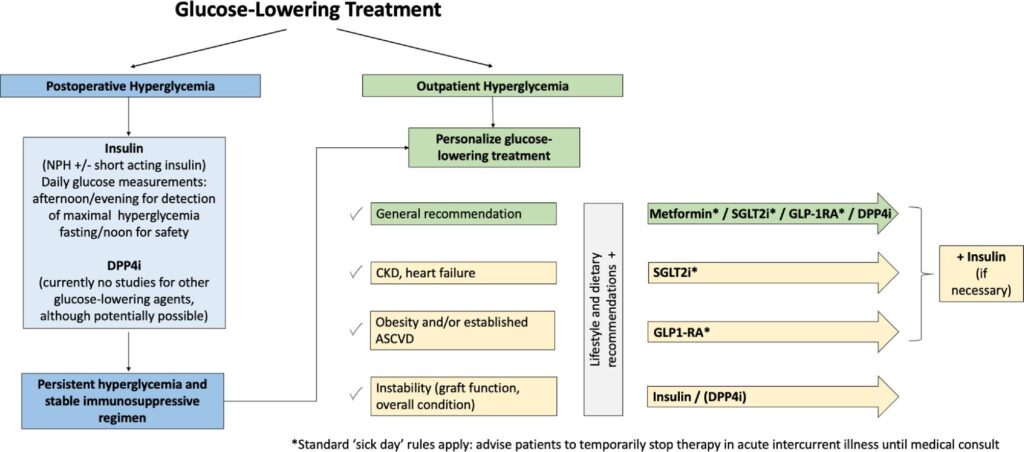 6 Diabetes trasplante