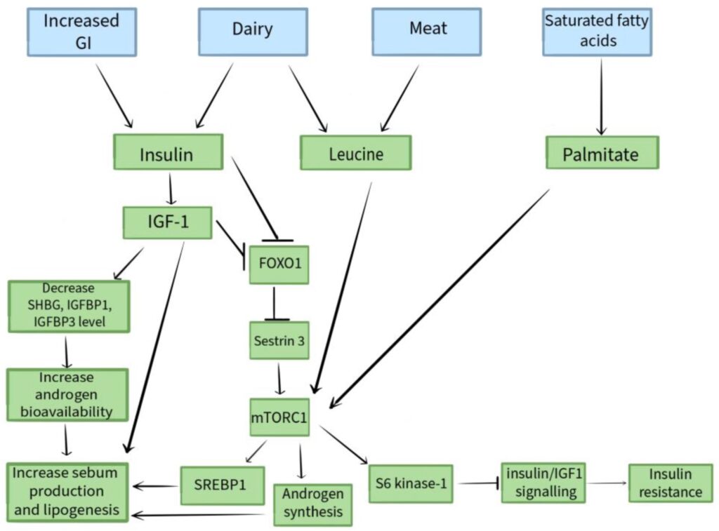 3 Acné nutrición