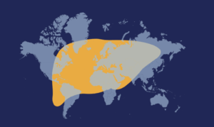 0 Día Mundial Hepatitis 2025