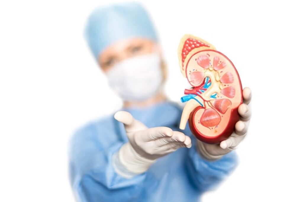 1 Enfermedad renal diabética guía