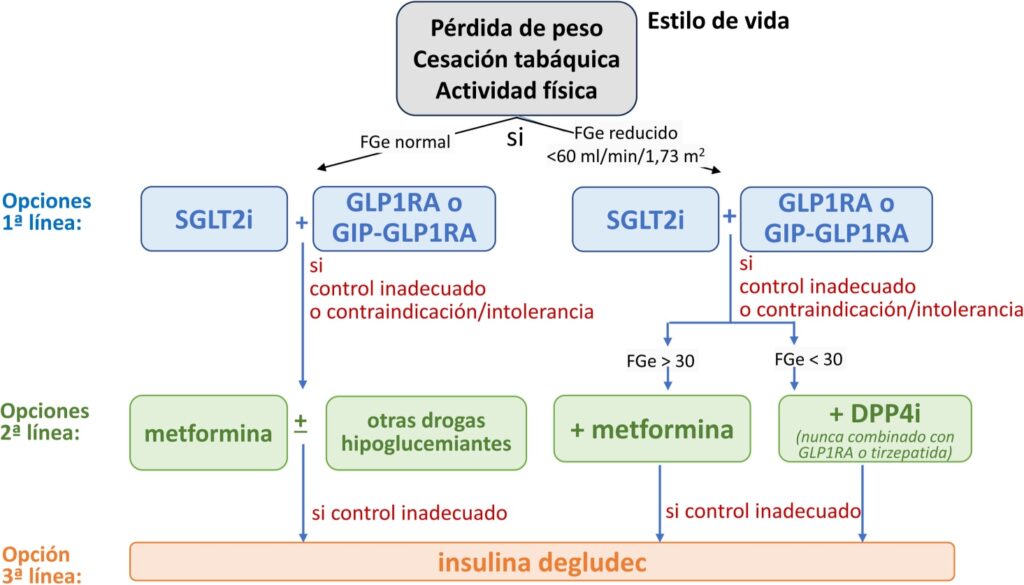 3 Enfermedad renal diabética guía