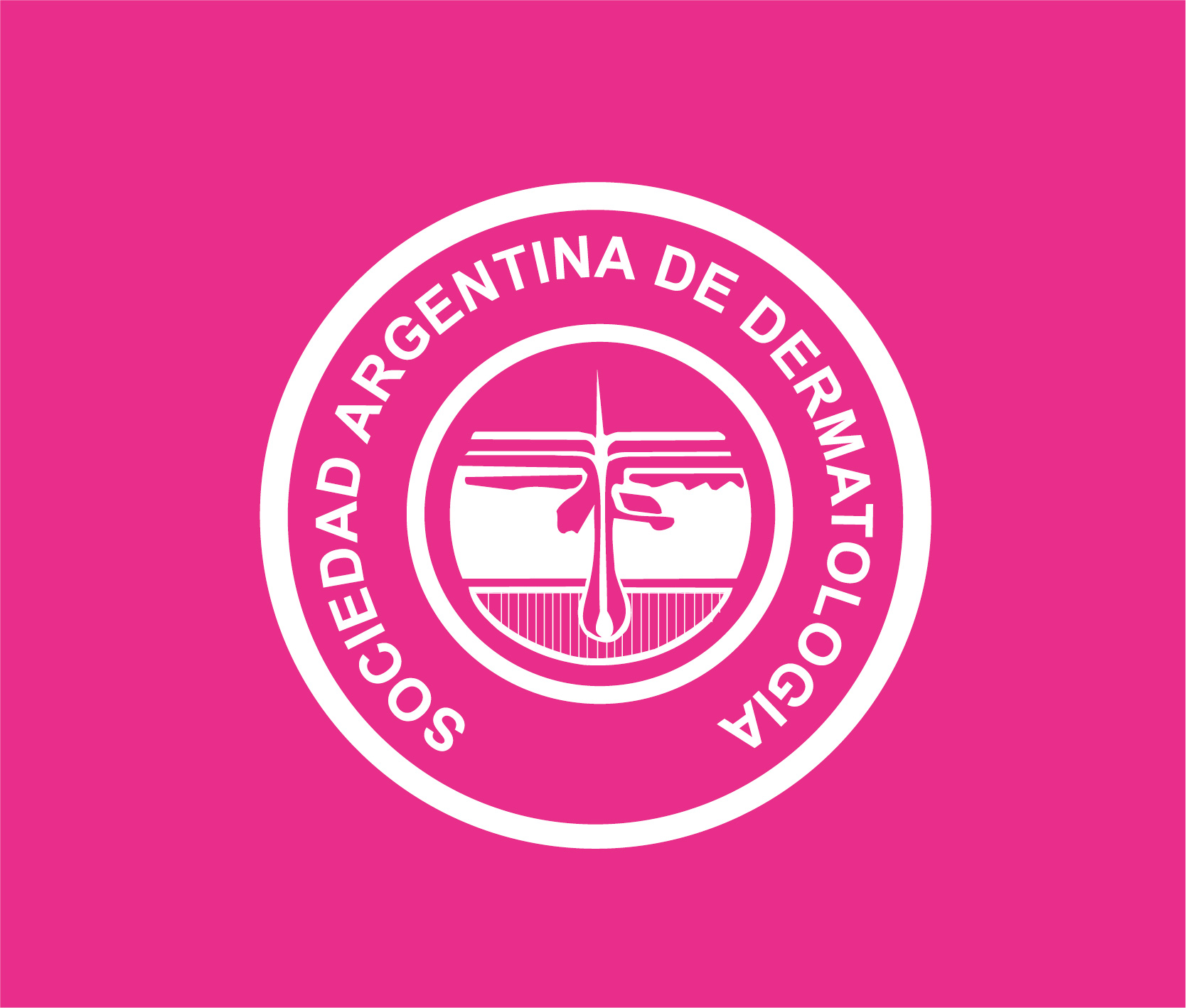 Revista Dermatologia 2025 6