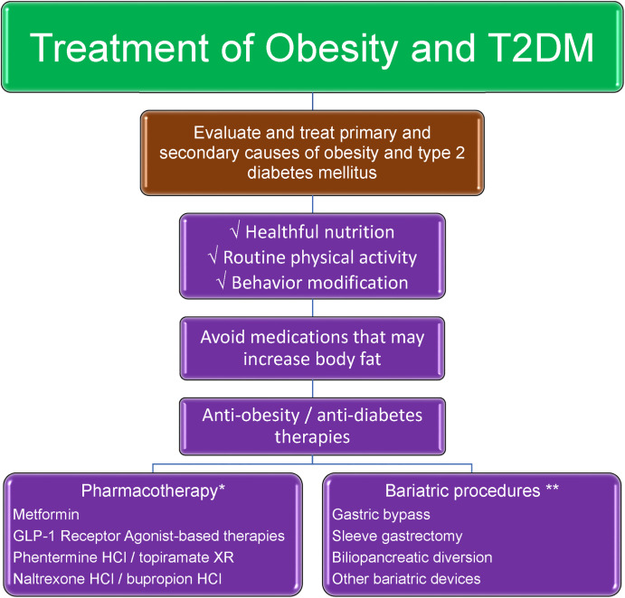10 Obesidad diabetes riesgo cardiometabólico