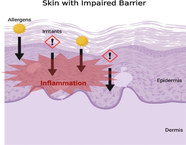 2 Dermatitis atópica hábitos