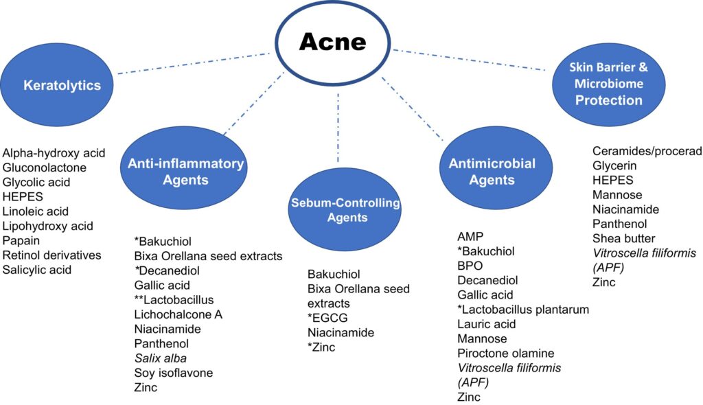 3 Dermocosméticos acné consenso