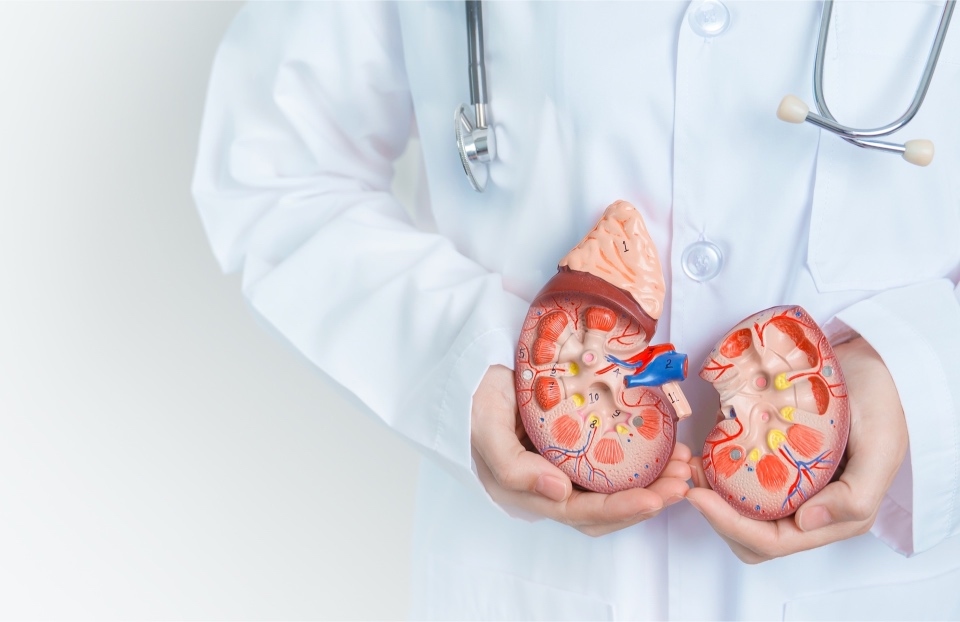 0 Enfermedad renal crónica terapia combinada