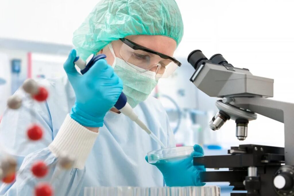 1 Diabetes enfermedad de Alzheimer