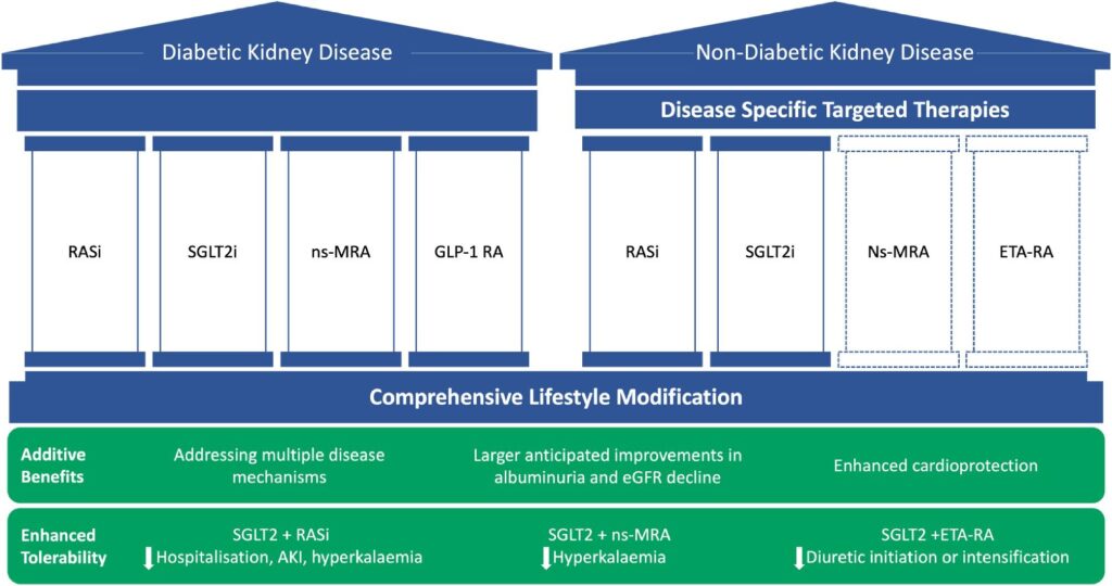 3 Enfermedad renal crónica terapia combinada