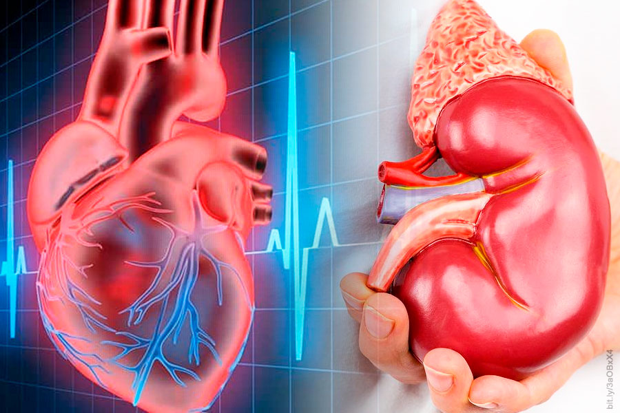 4 Enfermedad renal crónica terapia combinada