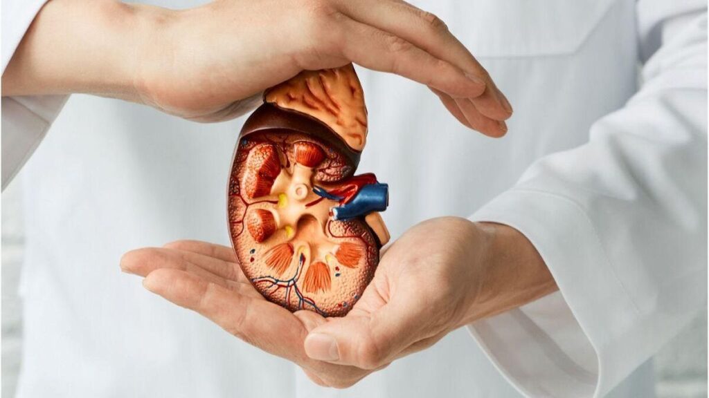 6 Enfermedad renal crónica terapia combinada