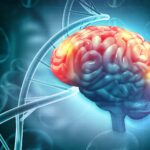 0 Dermatitis atópica accidente cerebrovascular
