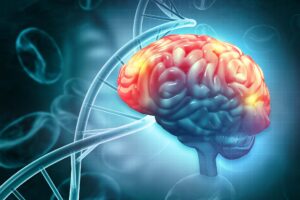 0 Dermatitis atópica accidente cerebrovascular