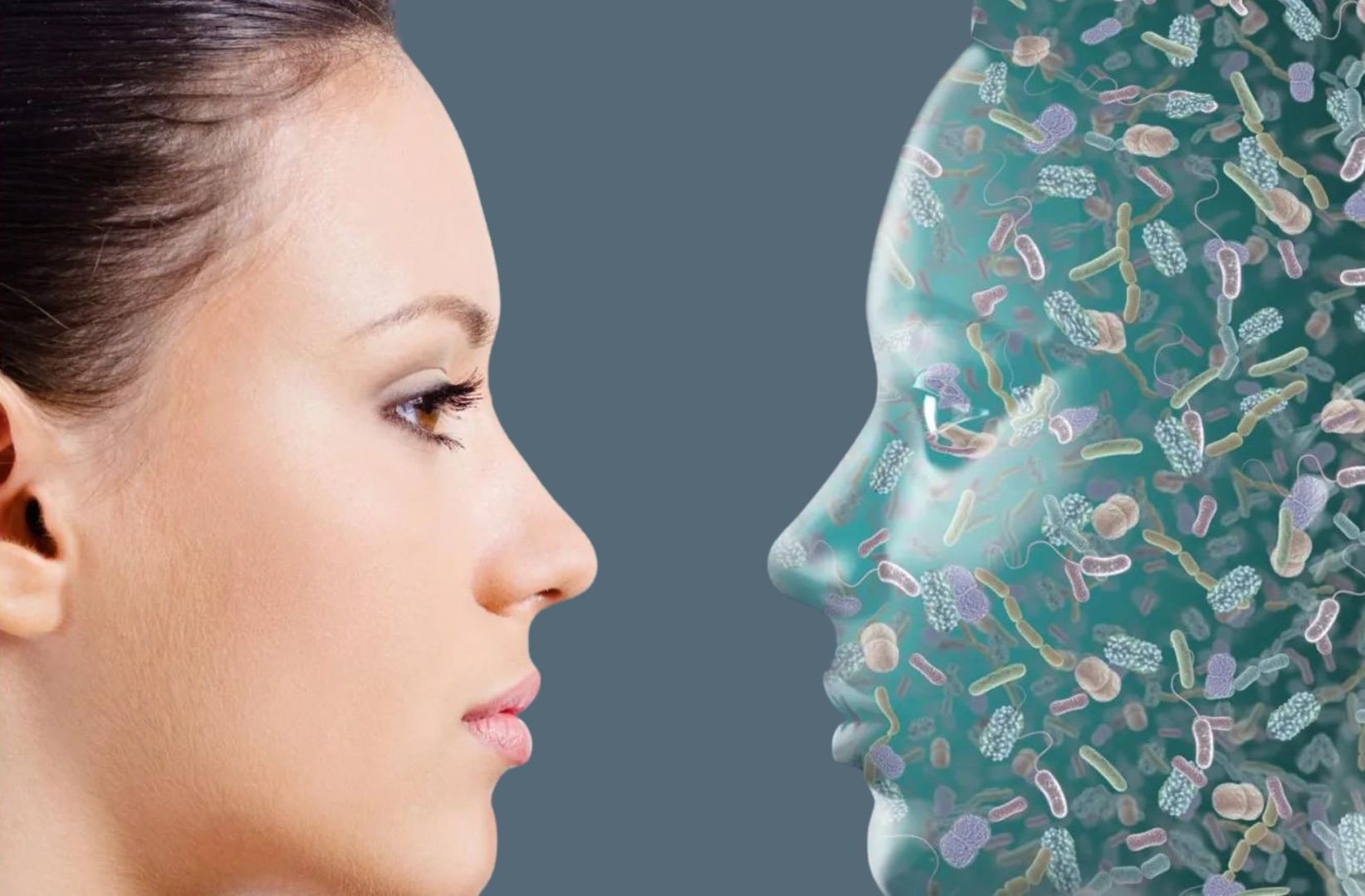0 Microbiota piel