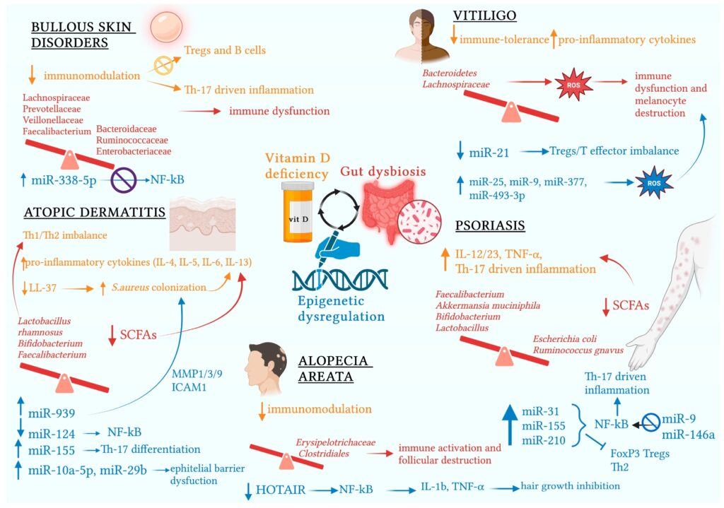 3 Piel osteoporosis