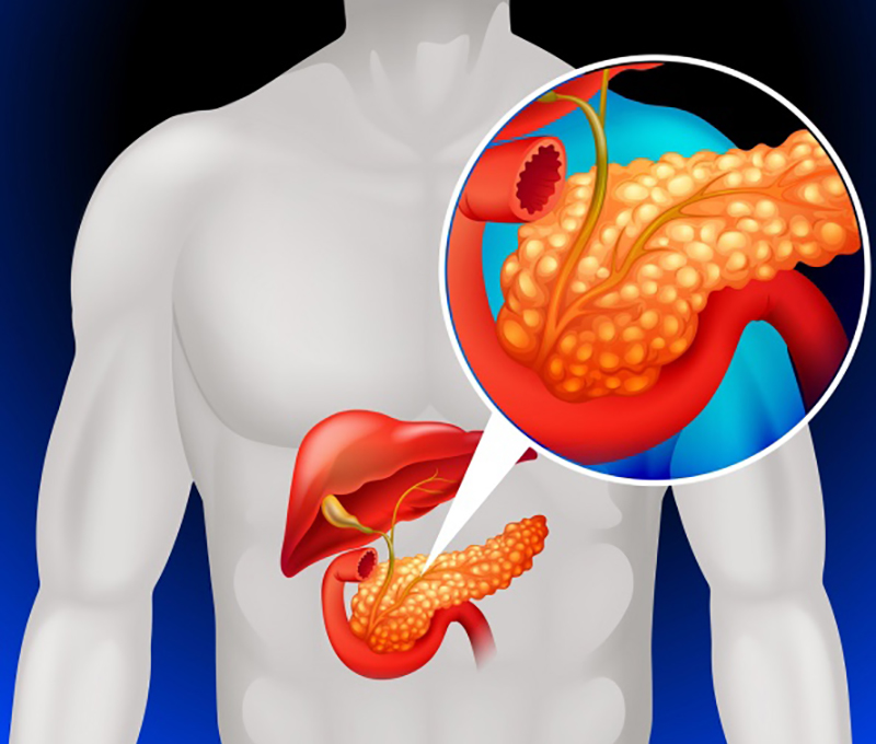 4 Congreso Europeo de Diabetes 2025