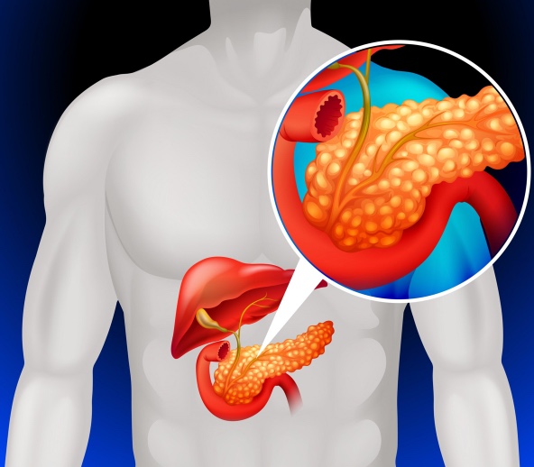 4 Congreso Europeo de Diabetes 2025