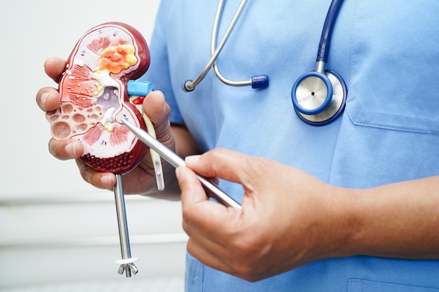 5 Día Mundial Diabetes 2025 enfermedad renal