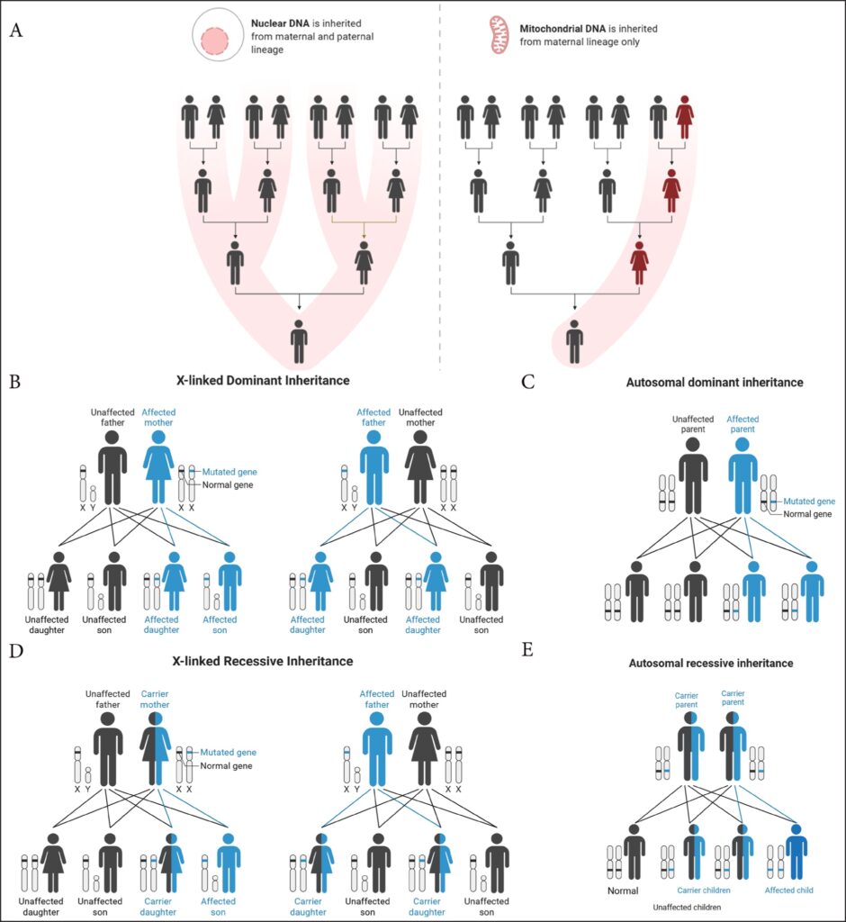 5 Genética dermatología