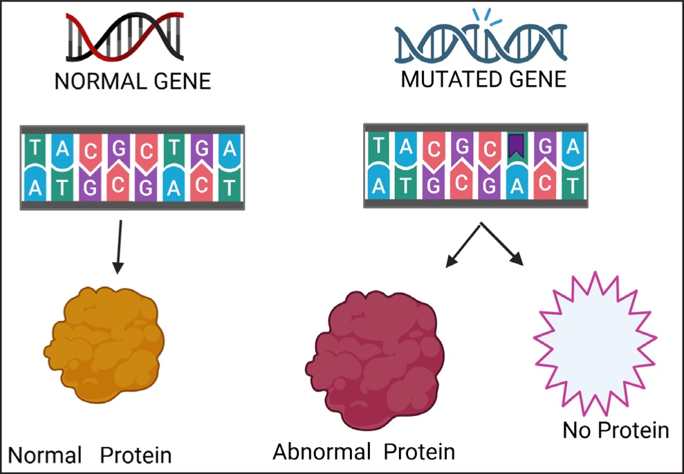 7 Genética dermatología