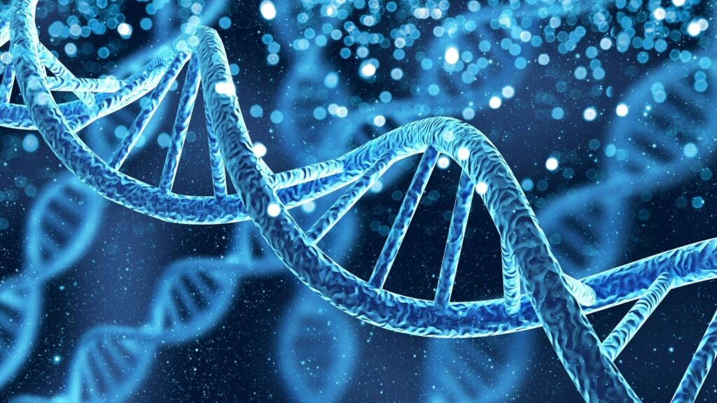 8 Diabetes monogénica 2025