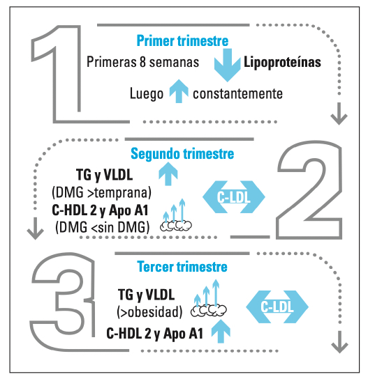 4 Revista de la Sociedad Argentina de Diabetes 3 2025