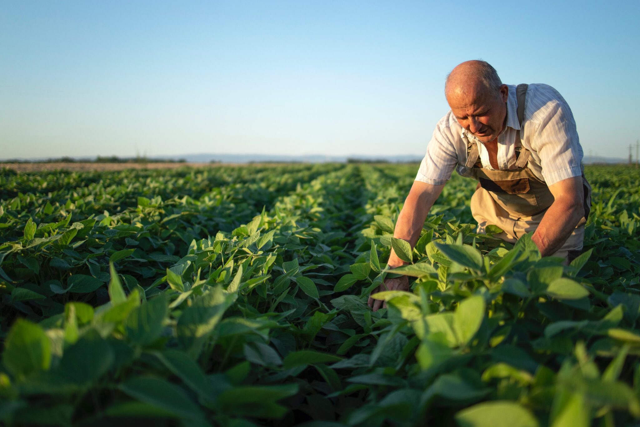 0 Melanoma trabajo aire libre