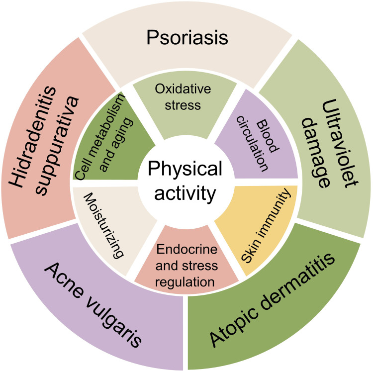 11 Piel actividad física
