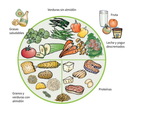6 ISPAD nutrición diabetes