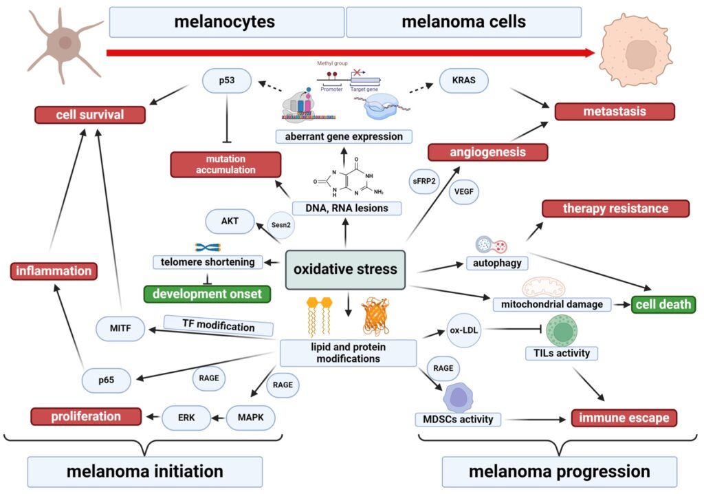 9 Melanoma rayos UV