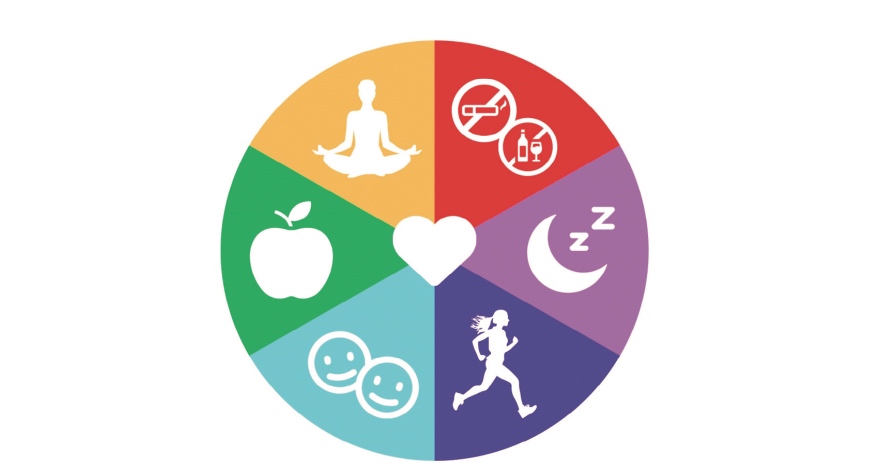 1 Dermatología Argentina 3 2025