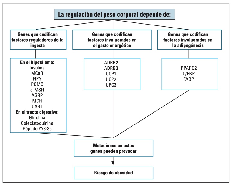 22 Revista Diabetes 2025 suplemento obesidad