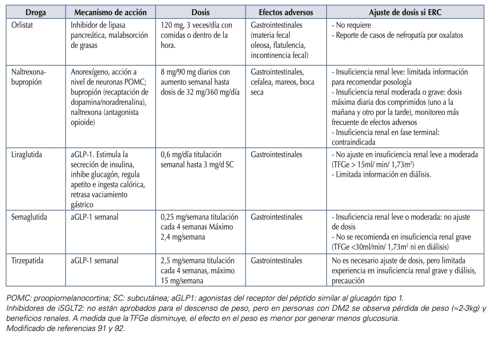 33 Revista Diabetes 2025 suplemento obesidad
