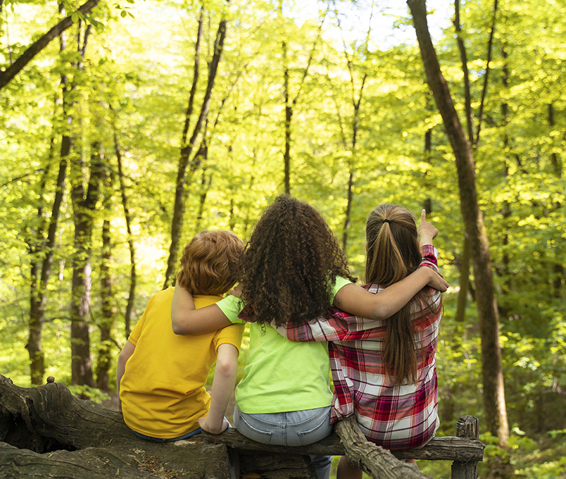 10 Congreso ISPAD 2025