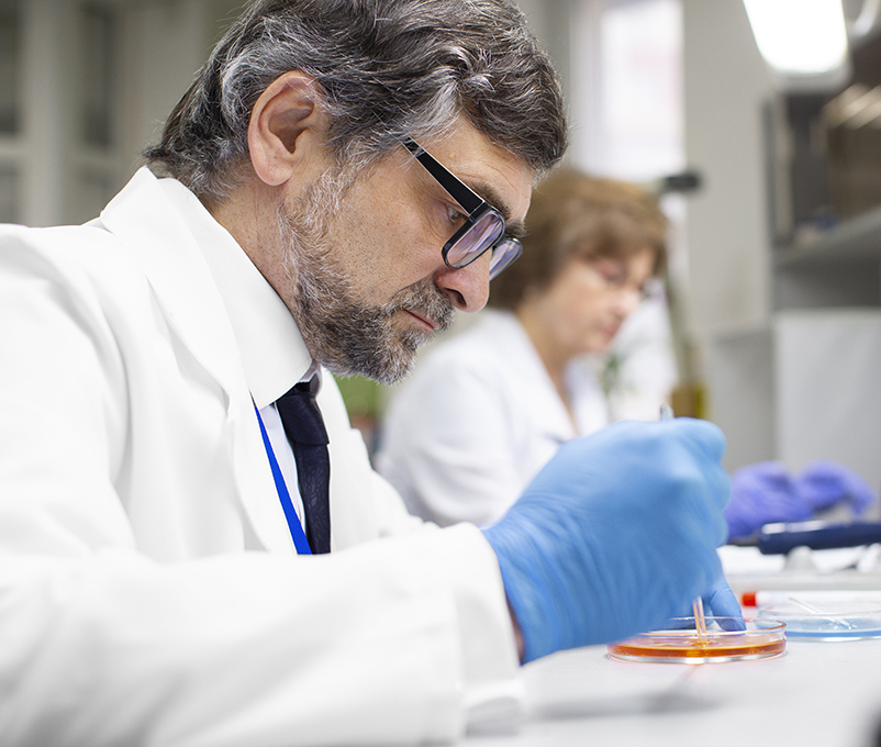 11 Congreso ISPAD 2025