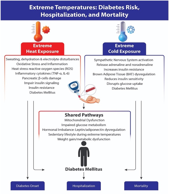 5 Diabetes temperaturas extremas