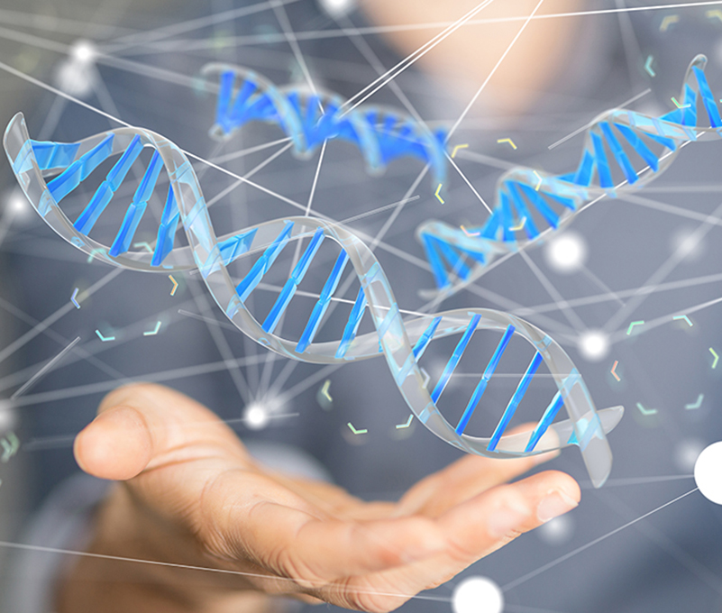 7 Congreso ISPAD 2025