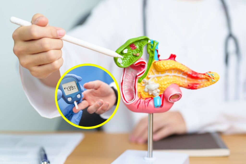 0 Diabetes tipo 1 teplizumab.png